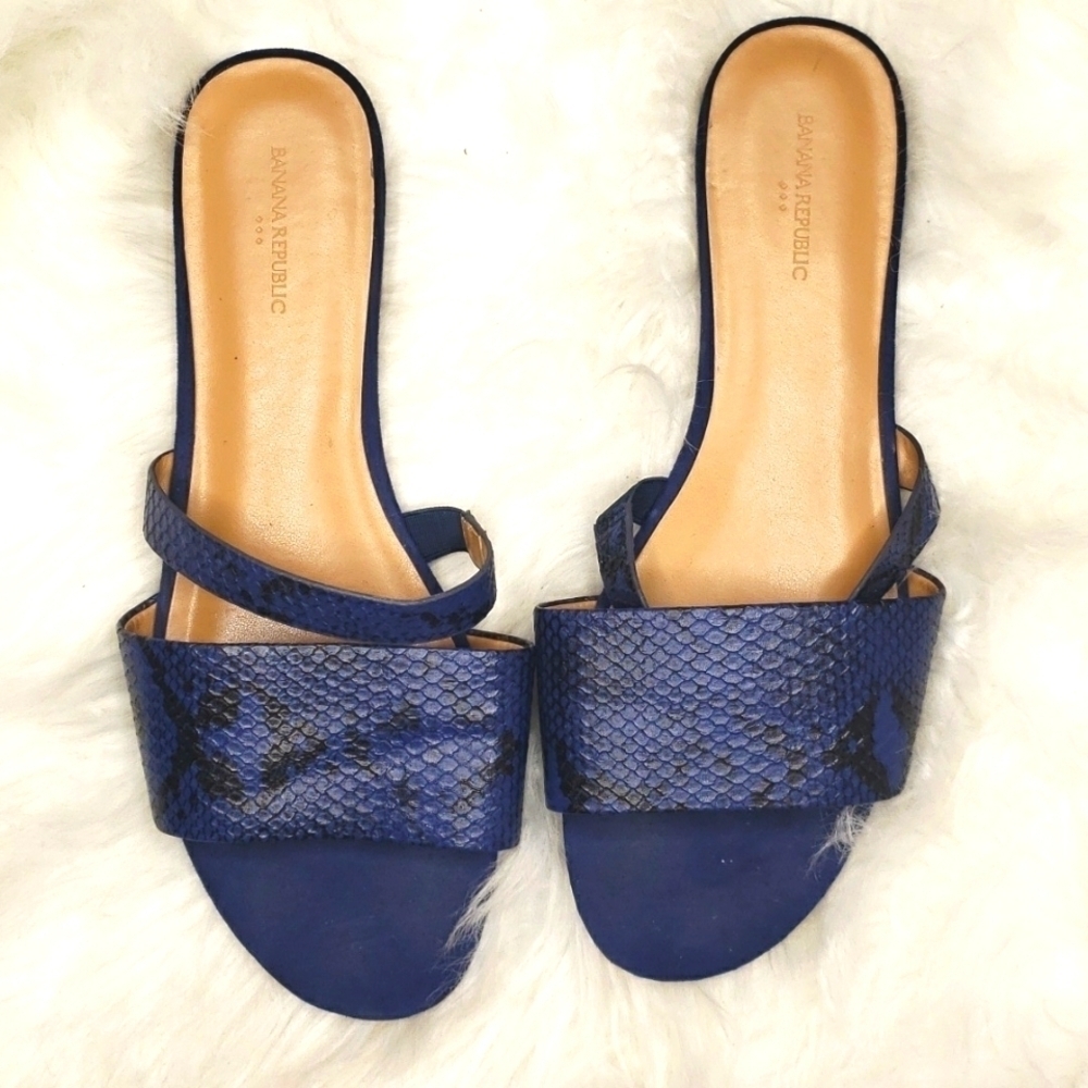 Banana Republic Double Strap Leather Slide 8.5 Blue Multi